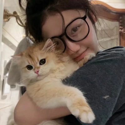 法医朝颜2025新春特别篇